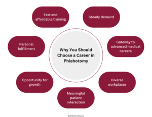 why a career in phlebotomy is a smart choice