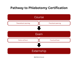 What to Expect From Your Phlebotomy Course