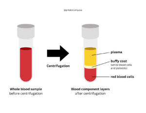 Blood and PRP Before and After Centrifugation
