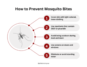 How to Prevent Mosquitoes From Biting You
